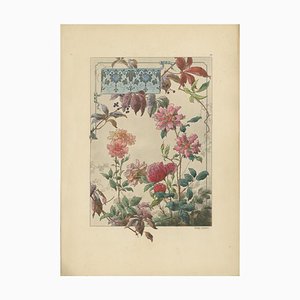 Lambert, Bengal Roses and Virginia Creeper in Art Nouveau Design, 1896, Print
