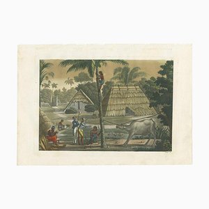 Ferrario, Timor Island Near Kupang, 1831, Impression sur Papier