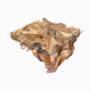 Vintage Yewwood Root Tree Coffee Table with Glass Top, 1980