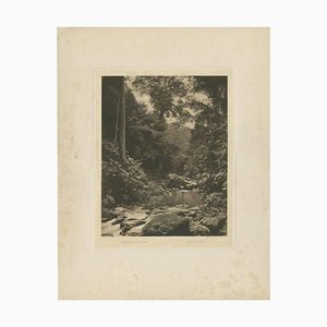 Kleingrothe, Jungle and Sungai Belawan River, 1890s, Paper