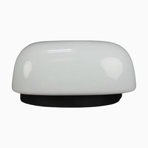 Mid-Century Modern Wall Light, Czechoslovakia, 1960s