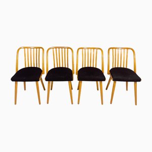Chaises de Salle à Manger par Antonín Šuman, Tchécoslovaquie, 1970s, Set de 4