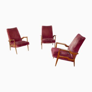 Armchairs in Curved Wood with Burgundy Velvet Upholstery by Osvaldo Borsani, 1960s, Set of 3