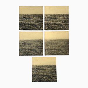 Gerry Hunt, Viewpoint Dima's Head & Seagrass, Photographies Montées sur Panneaux de Bois, 1977, Set de 5