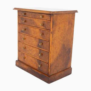 Victorian Apprentice Chest of Drawers in Walnut, 1860