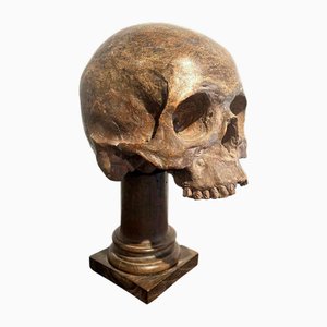 Vanitas or Memento Mori Skull, 16th Century, Terracotta
