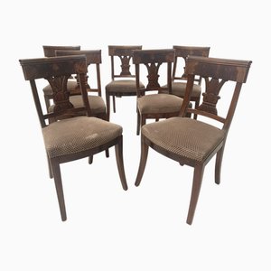 Chaises en Acajou, 19ème Siècle, Set de 7