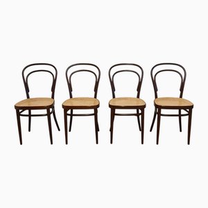 Chaises 214 R par Michael Thonet/Paul Stanoβek pour Thonet, 1990s, Set de 4