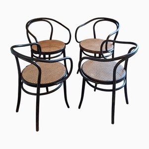 Fauteuils No. 209 en Bois Courbé et Rotin de Ligna, 1970s, Set de 4