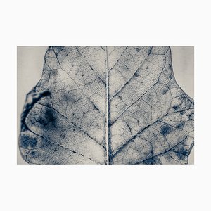 Guy Sargent, The Vein of Truth, impression pigmentaire d’archives