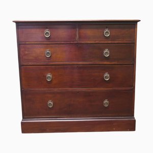 19th Century Mahogany Chest of Drawers from Gillows