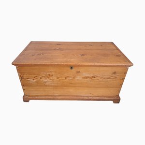 Antique Victorian Trunk in Pine, 1890s