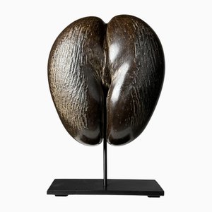 Coco De Mer on Custom Stand