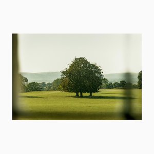 Guy Sargent, The Garden 3, Archival Pigment Print