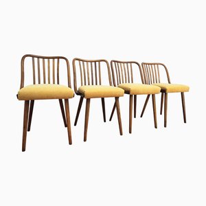 Sillas de comedor atribuidas a A. Suman para Tatra Nabytok, Checoslovaquia, años 60. Juego de 4