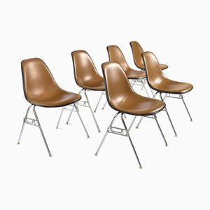 Stacking Shell Chairs with Brown Naugahyde Pads by Herman Miller for Eames, Set of 6