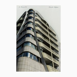 Guy Sargent, The Golden Fleece, Archival Pigment Print