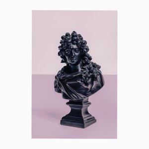 Guy Sargent, Louis XIV Pink, Archival Pigment Print