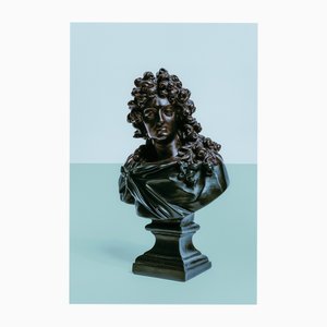 Guy Sargent, Louis XIV Pink, Archival Pigment Print