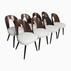 Esszimmerstühle von Antonin Suman, 1960er, 8 . Set