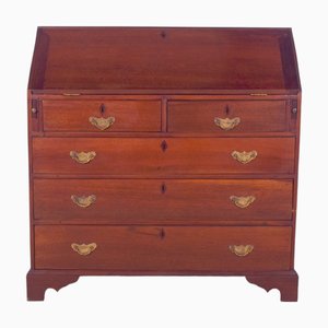 Antique Portuguese Paper Chest of Drawers, 1890s
