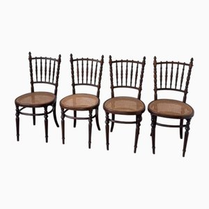 Fischel Cane Bistrostühle, 1890er, 4er Set