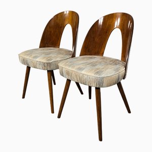 Esszimmerstühle von Antonin Suman, 1960er, 2er Set
