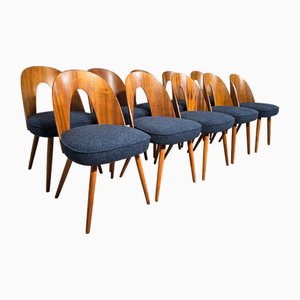 Esszimmerstühle von Antonin Suman, 1960er, 10 . Set