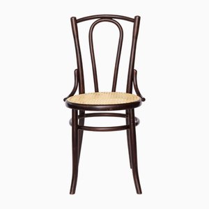 Early 20th Century Bentwood Chair with Beechwood Frame & New Cane Seat from Fischel, 1920s