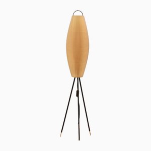 Tripod Floor Lamp in the style of Rispal, 1950s