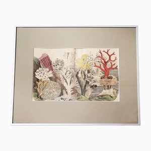 Antiker Zoologischer Druck mit Korallen & Anemonen, 19. Jh.