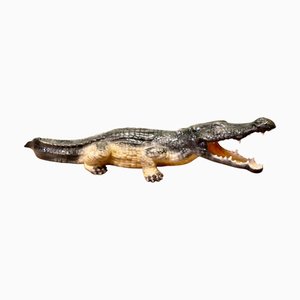 Long Italian Hand Made Majolica Crocodile