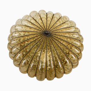 Blown Glass and Wrought Iron Ceiling Light