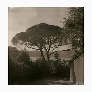 Ugne Pouwell, Lerici 258, 2025, Fotografia di paesaggio costiero Polaroid