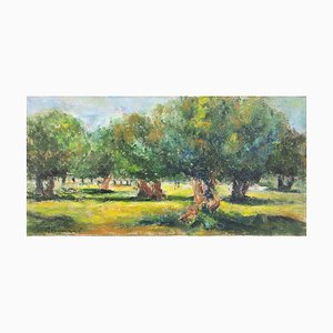 Pino Romanò, Olive Trees in Squinzano- Oil Painting, 1990s