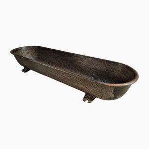 Antique French Cast Iron Planter, 1890s