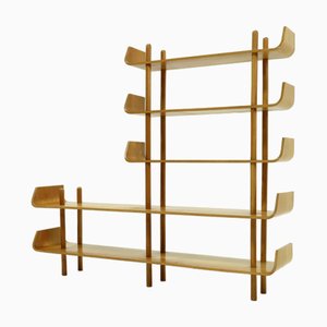 Large Birch Bookcase Shelving Unit by Willem Lutjens for Gouda den Boer, 1950s