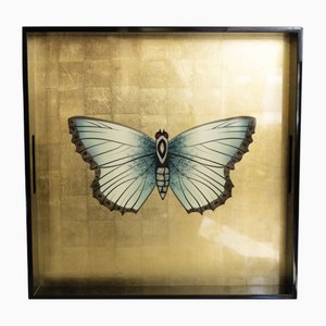 Butterfly Square Tray in Lacquered Wood by Les Ottomans