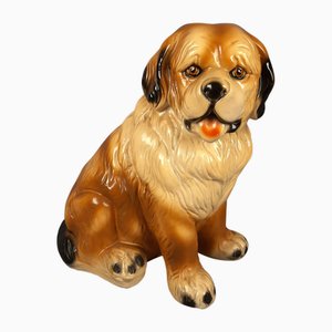 Scultura di cane di San Bernardo marrone in gesso, anni '70