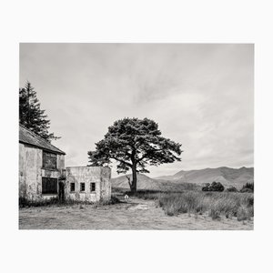 Guy Sargent, Killarney, Archival Pigment Print