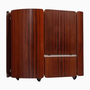 Vintage Dry Bar by Carlo De Carli for Fiarm, 1965