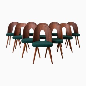 Mid-Century Esszimmerstühle von A. Šuman, 1960er, 10er Set