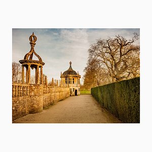 Guy Sargent, Le Jardin V, Archival Pigment Print