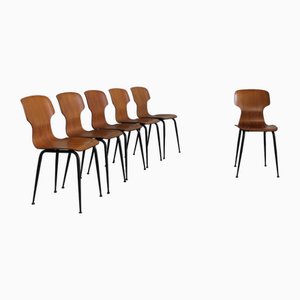 Sedie in compensato di Carlo Ratti per Industria Legni Curvati Lissone, 1950, set di 6