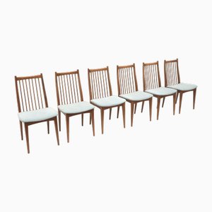 Dining Room Chairs, 1960s, Set of 6