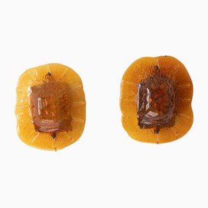 Lampade da parete Medaillon vintage di Vitrika, anni '60, set di 2