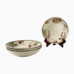 Portobello Soup Plates from Villeroy & Boch, 1960s, Set of 4