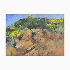 Lea Monetti, Brooms and Rocks on Giglio Island, Oil Painting, 1997