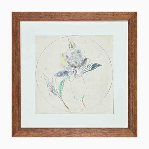 Sigfrido Oliva, Still Life, Pencil and Watercolor, 1978, Framed