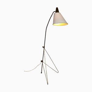 Giraffe Floor Lamp attributed to Josef Hurka, 1970s